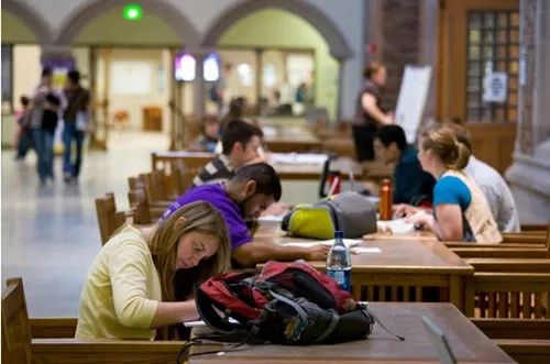 国际学校择校,上海国际学校,犀牛国际学校择校备考,