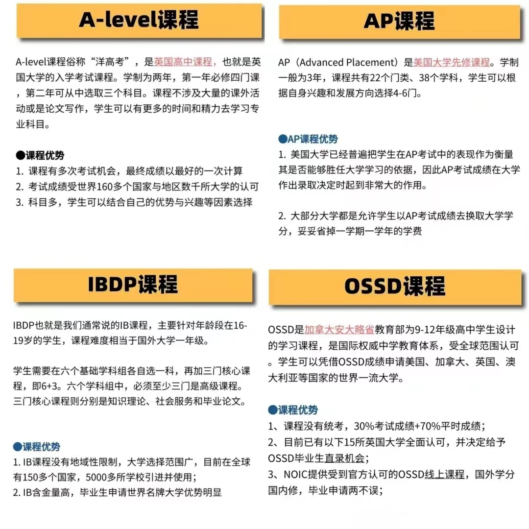 国际教育
