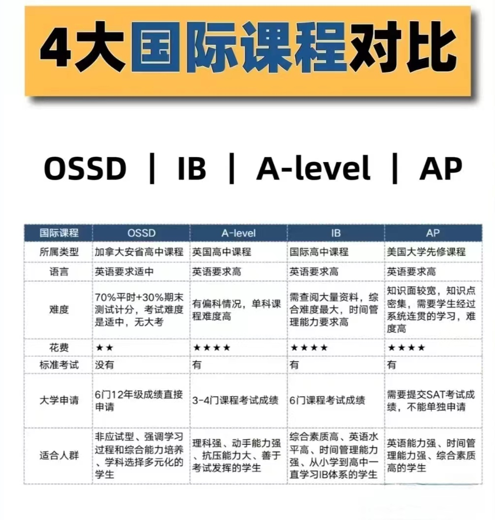 国际教育