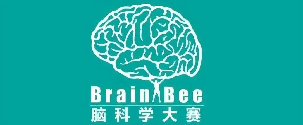 BBO竞赛