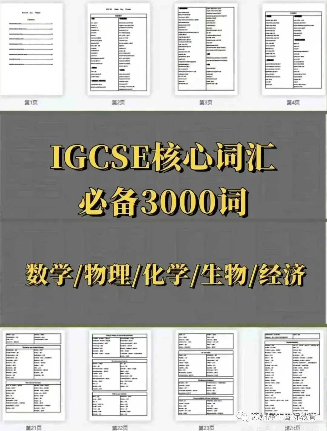 IGCSE课程
