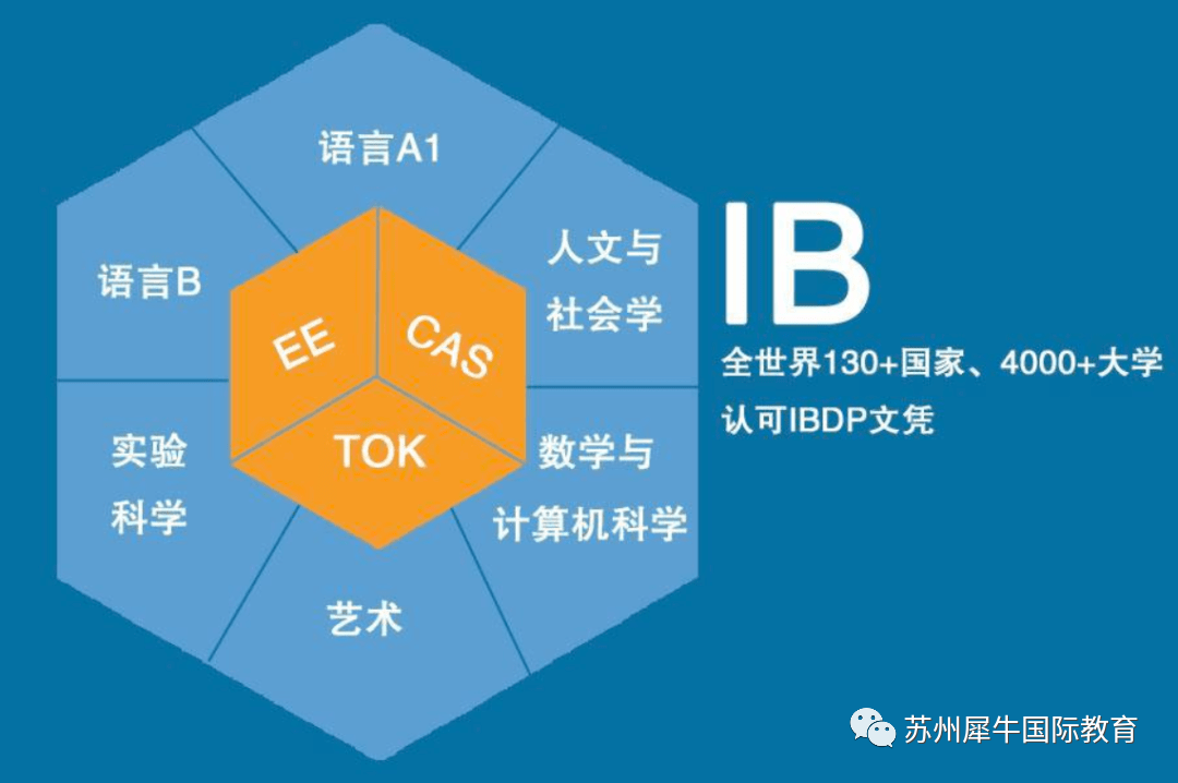 IB国际课程