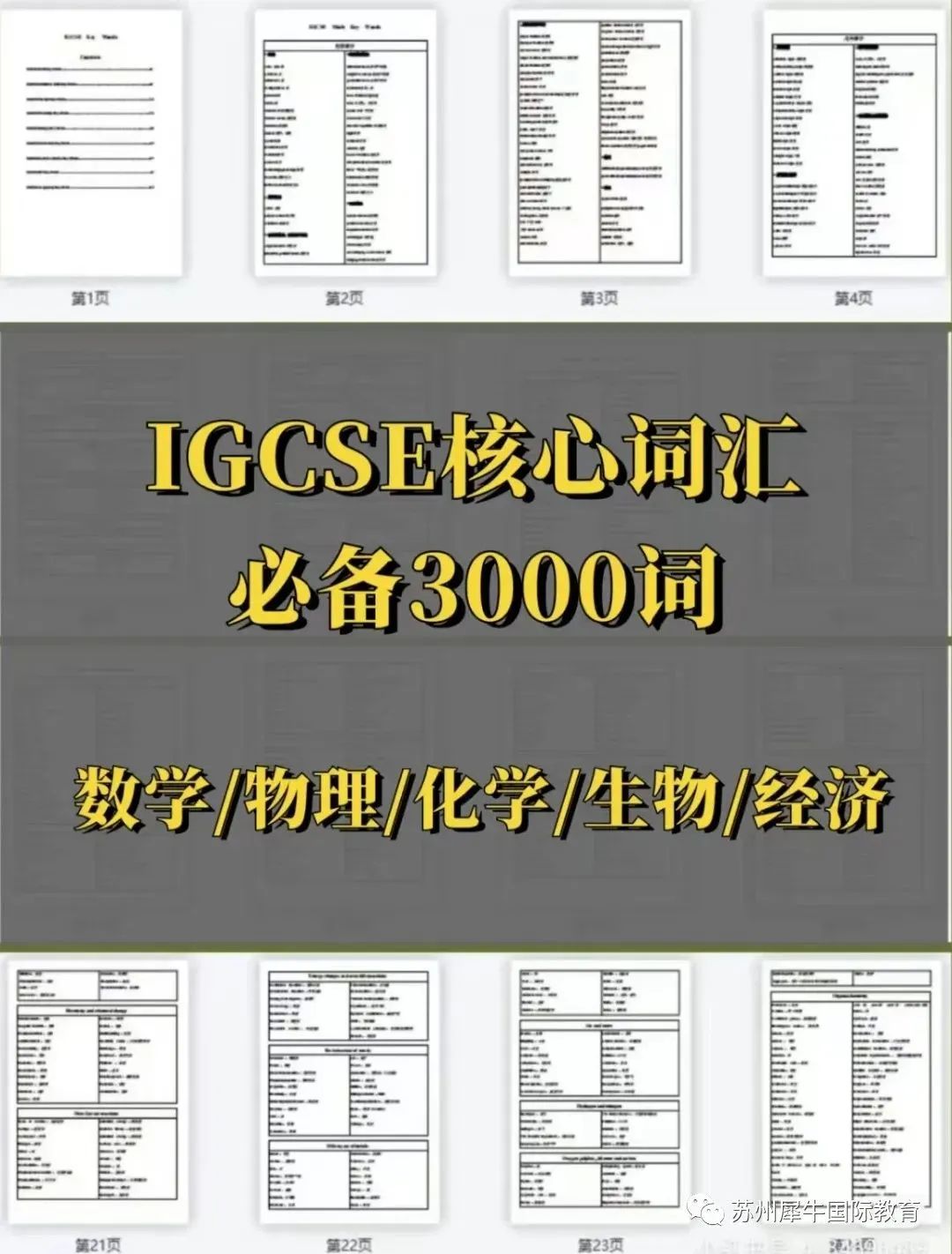 IGCSE课程