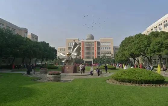 IB课程