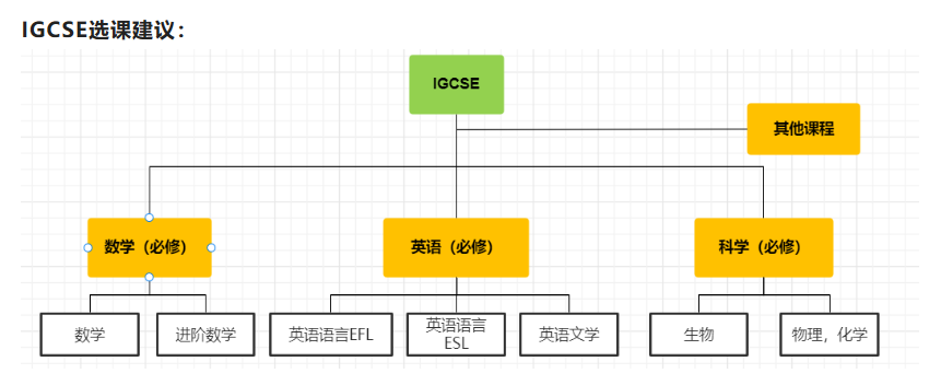 IGCSE课程