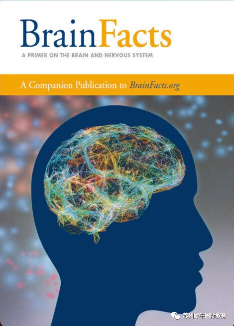 BrainBee生物竞赛,Brainbee竞赛培训,Brainbee脑科学大赛,Brainbee真题,