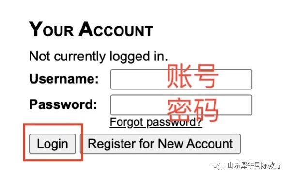 USACO竞赛