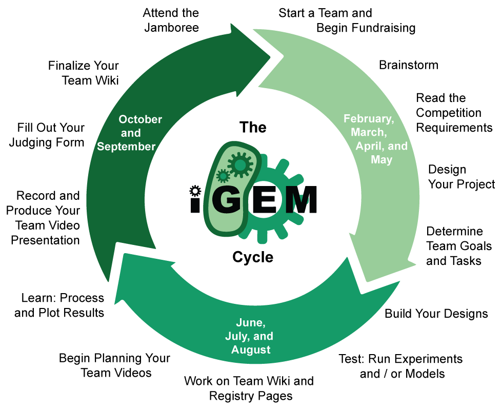 iGEM竞赛,iGEM国际基因工程机器大赛,合成生物学,iGEM竞赛规则,iGEM竞赛培训,
