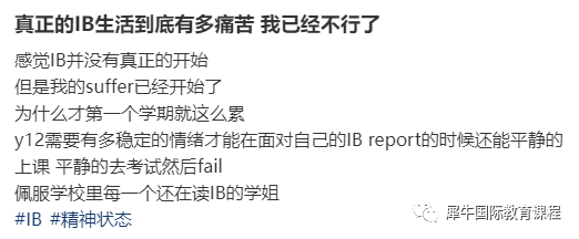 IB课程