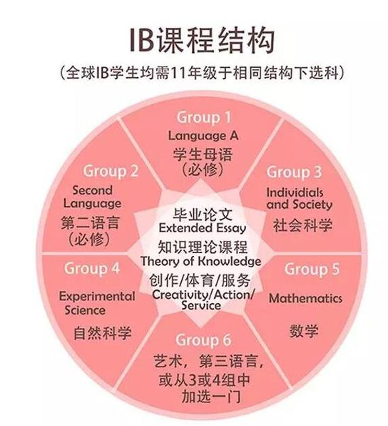 IB课程