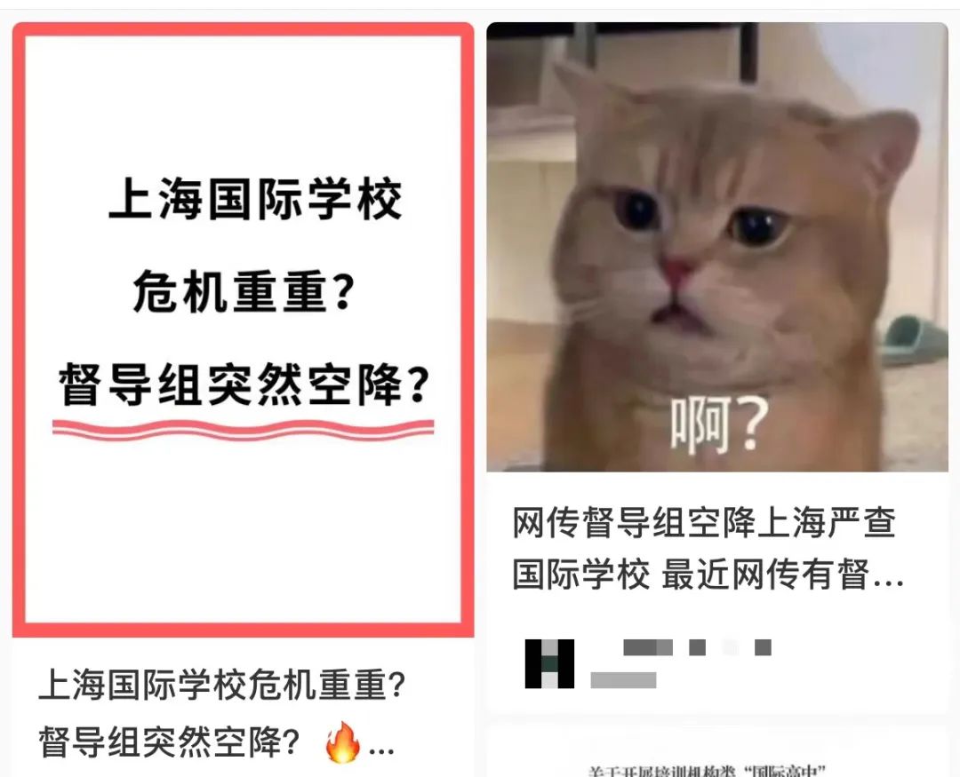 七宝德怀特