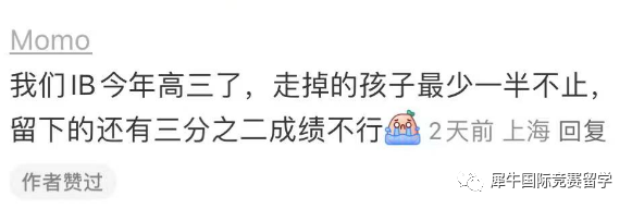 IB课程