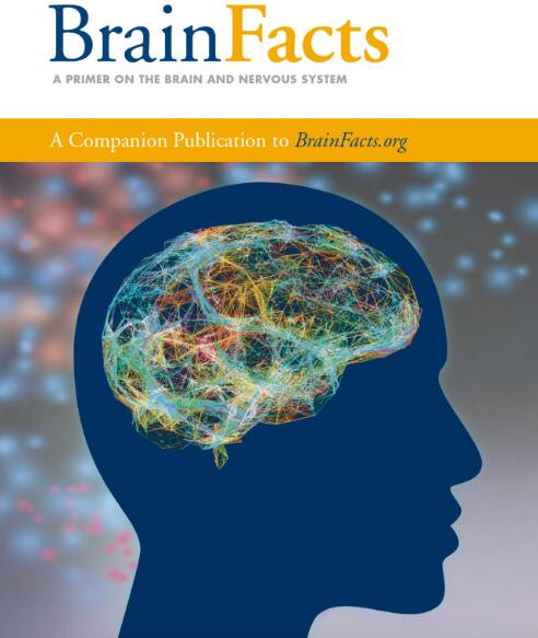 Brain Bee脑科学竞赛