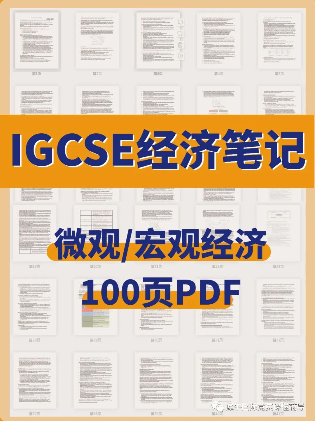 IGCSE经济