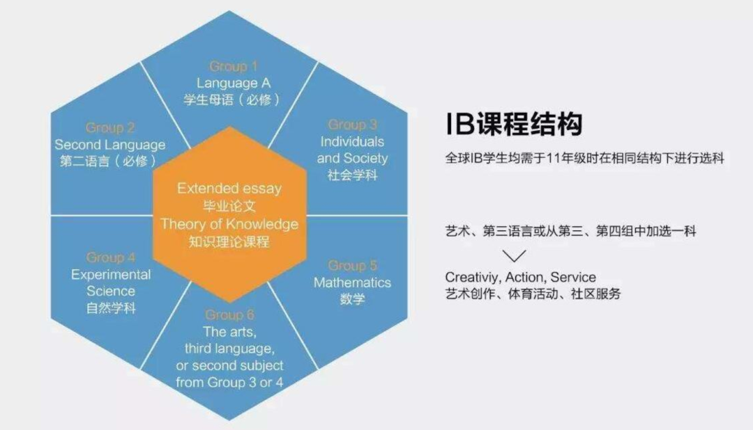 IB课程