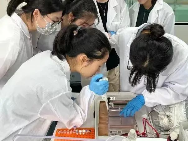 iGEM竞赛,iGEM国际基因工程机器大赛,合成生物学,iGEM竞赛规则,iGEM竞赛培训,