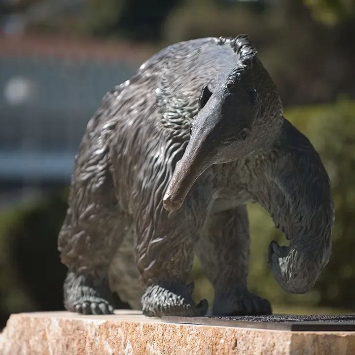 美国留学