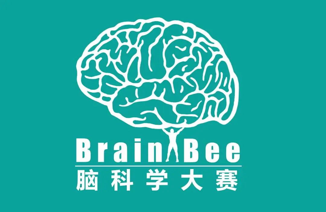 BrainBee生物竞赛,Brainbee竞赛培训,Brainbee脑科学大赛,Brainbee真题,