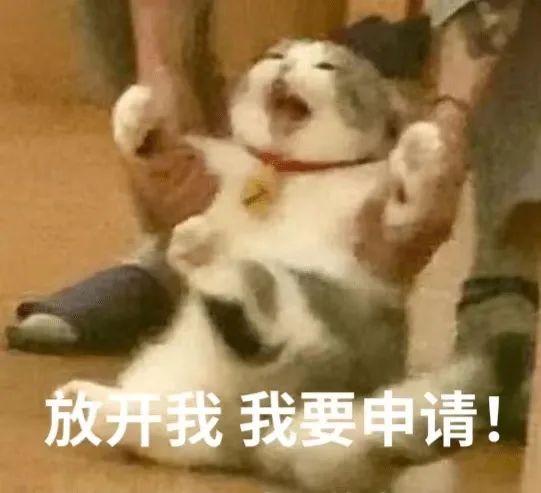 美国本科