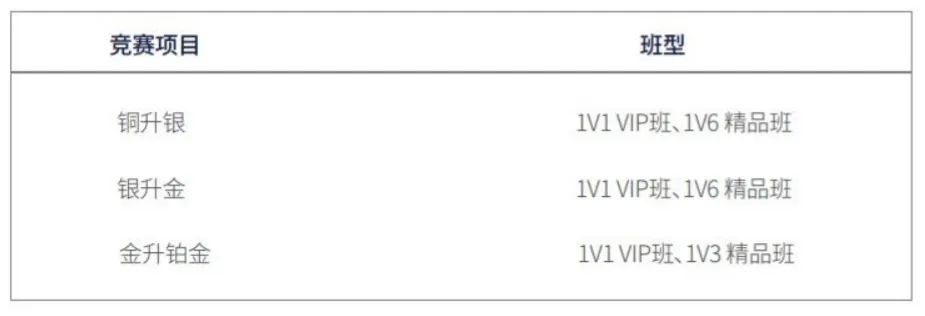 USACO计算机竞赛