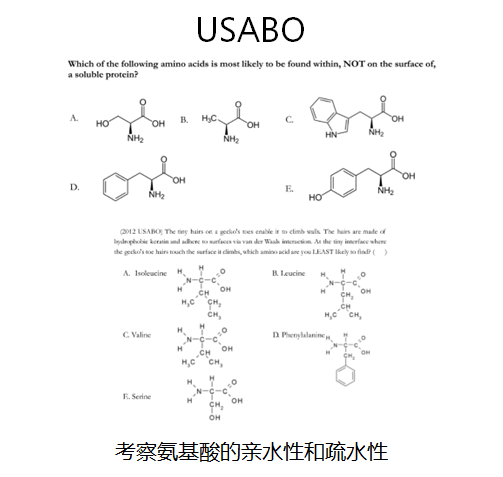 BBO生物奥赛