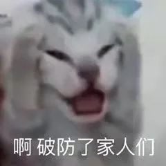 雅思