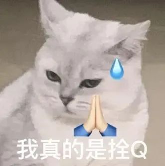 雅思