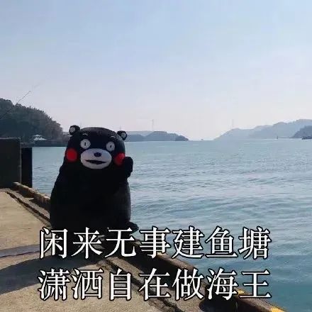 雅思