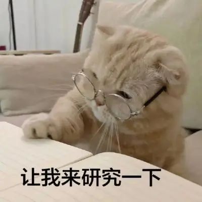 雅思