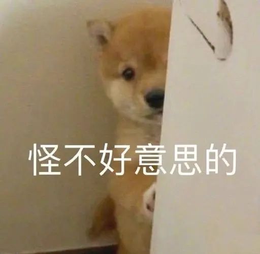 雅思