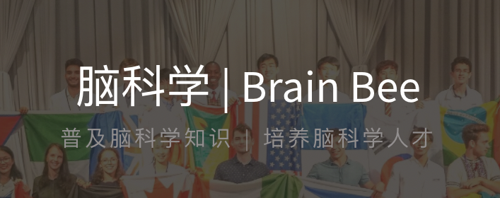 Brain Bee脑科学活动