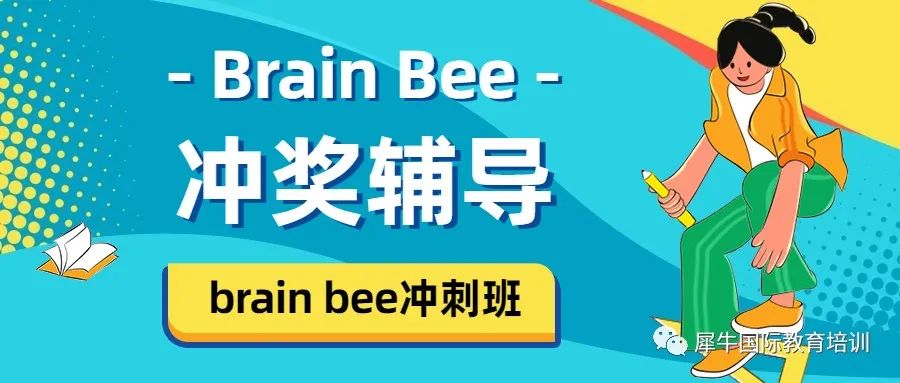 Brain Bee脑科学活动