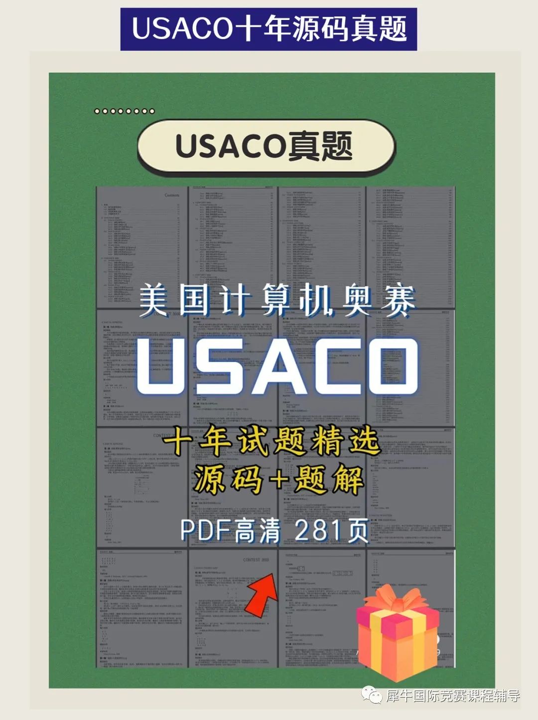 USACO竞赛