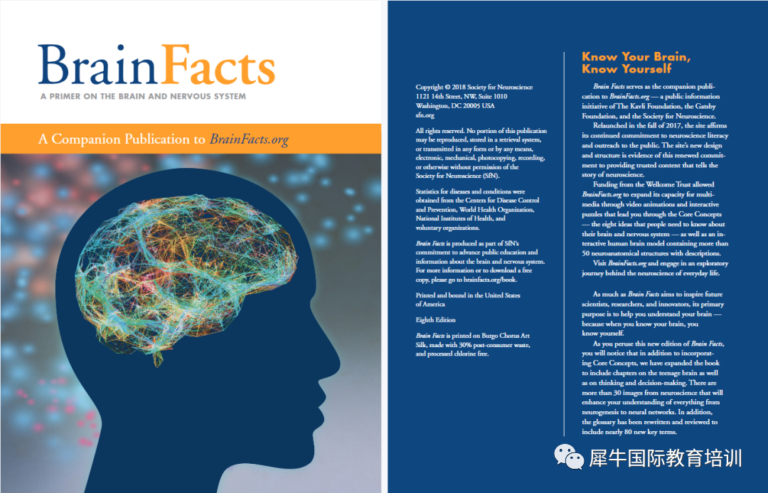 BrainBee脑科学竞赛