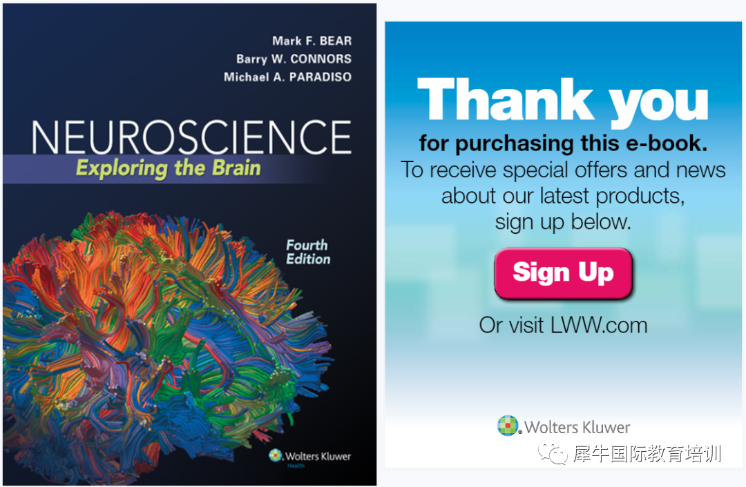 BrainBee脑科学竞赛