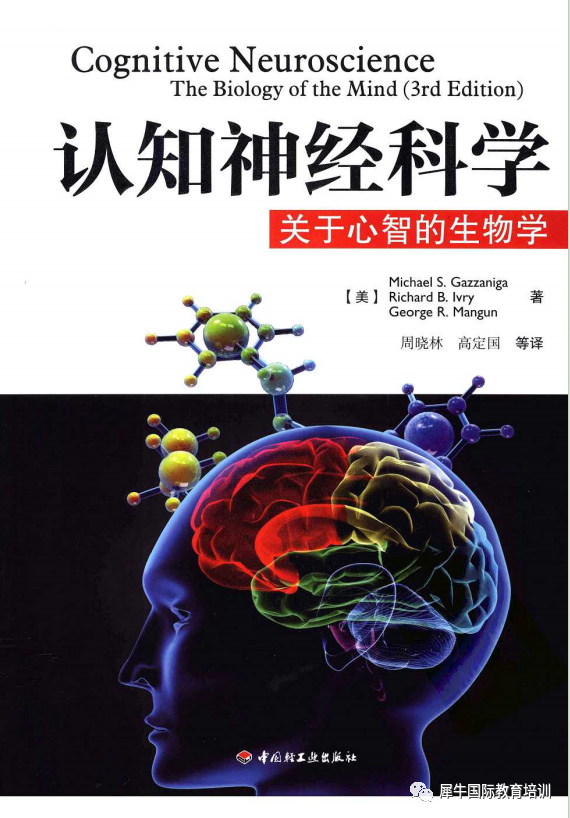 BrainBee脑科学竞赛