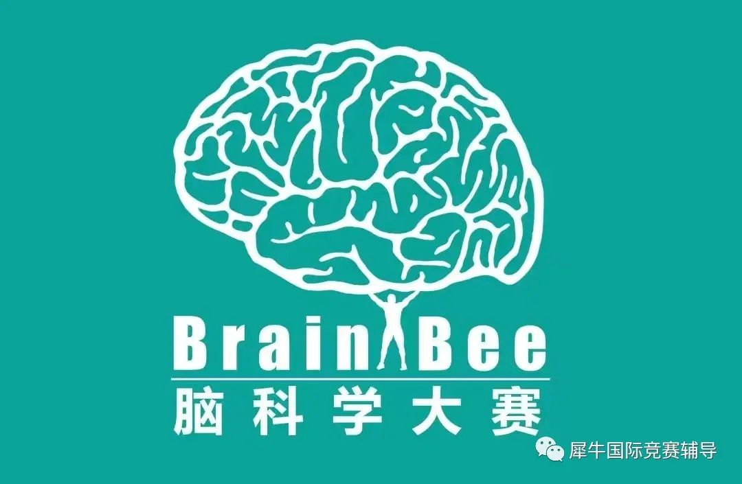 BrainBee脑科学大赛