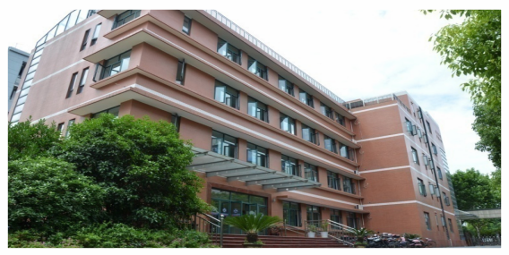 国际学校