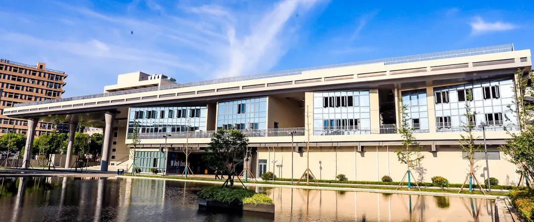国际学校