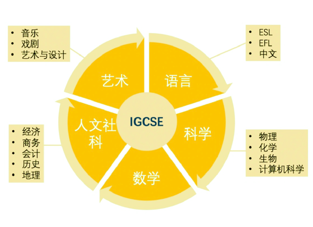 IGCSE课程