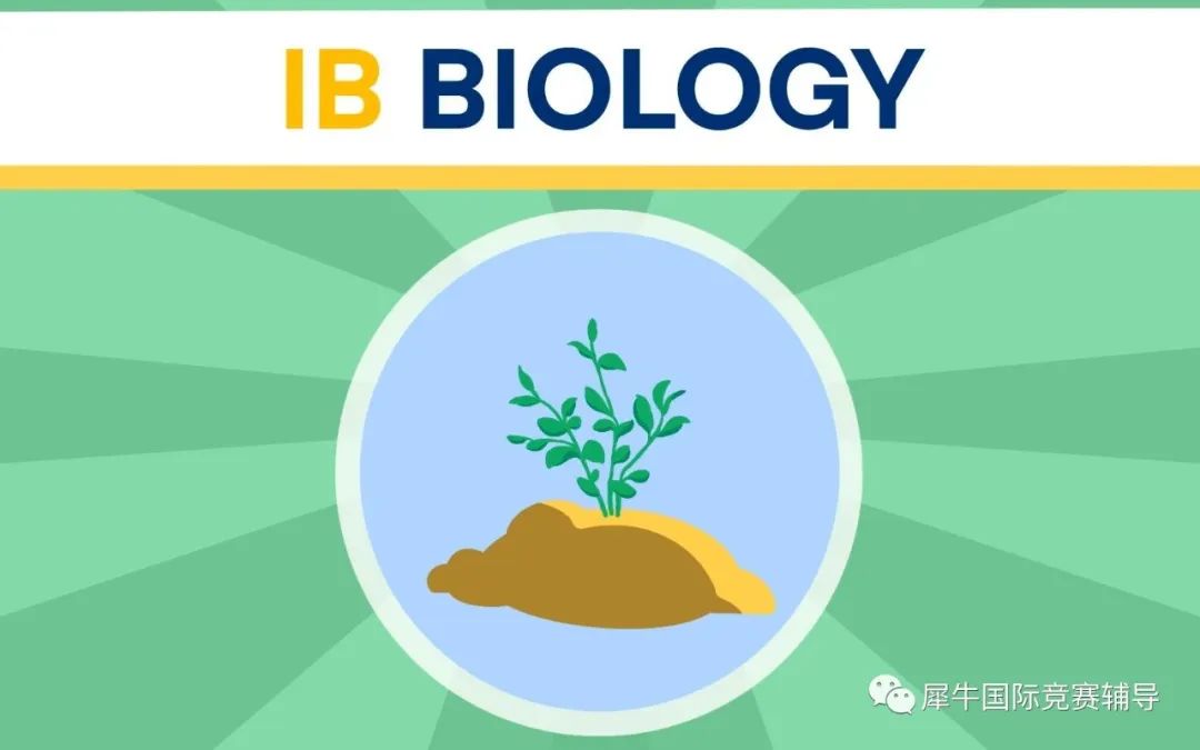 IB生物学