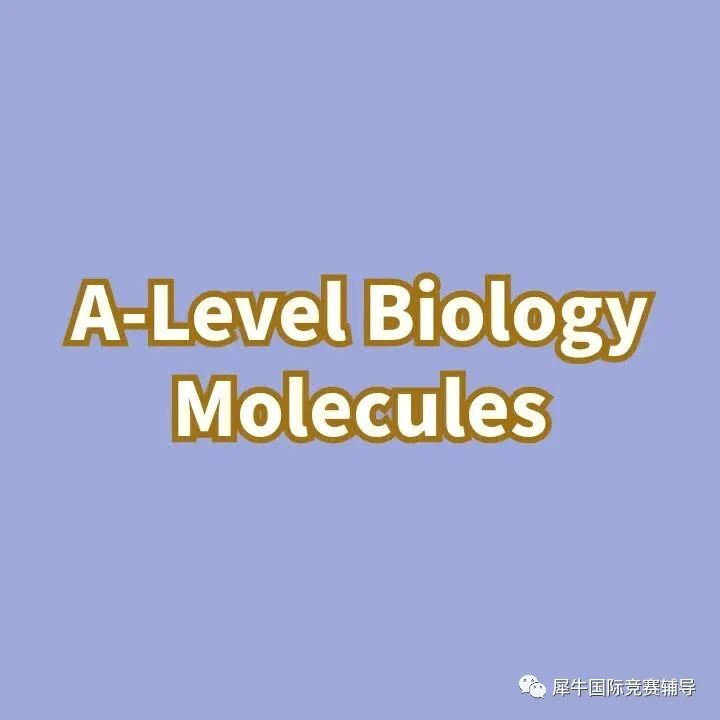 Alevel生物