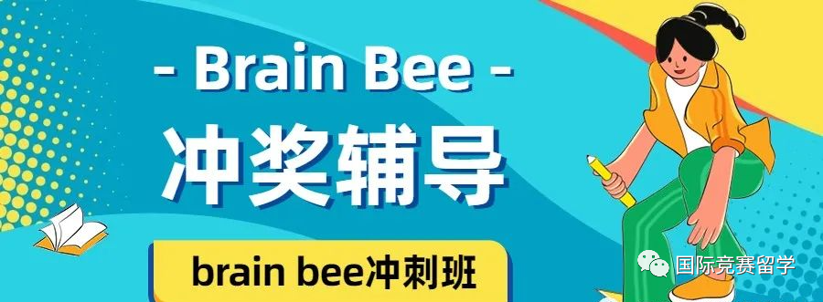 Brain Bee脑科学大赛