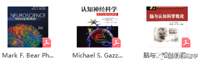 Brain Bee脑科学大赛