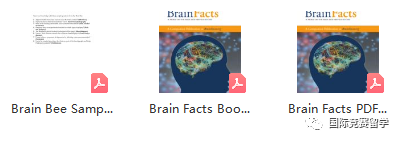 Brain Bee脑科学大赛
