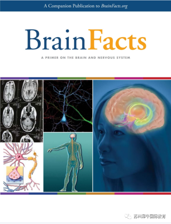 Brain Bee脑科学大赛