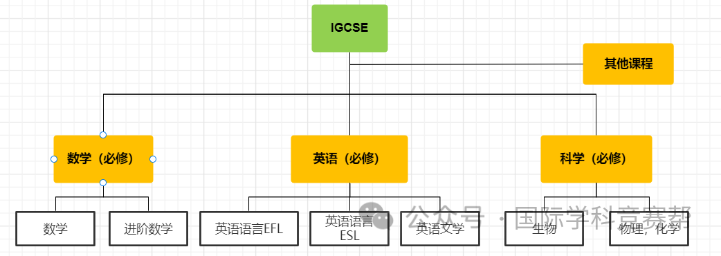 IGCSE课程