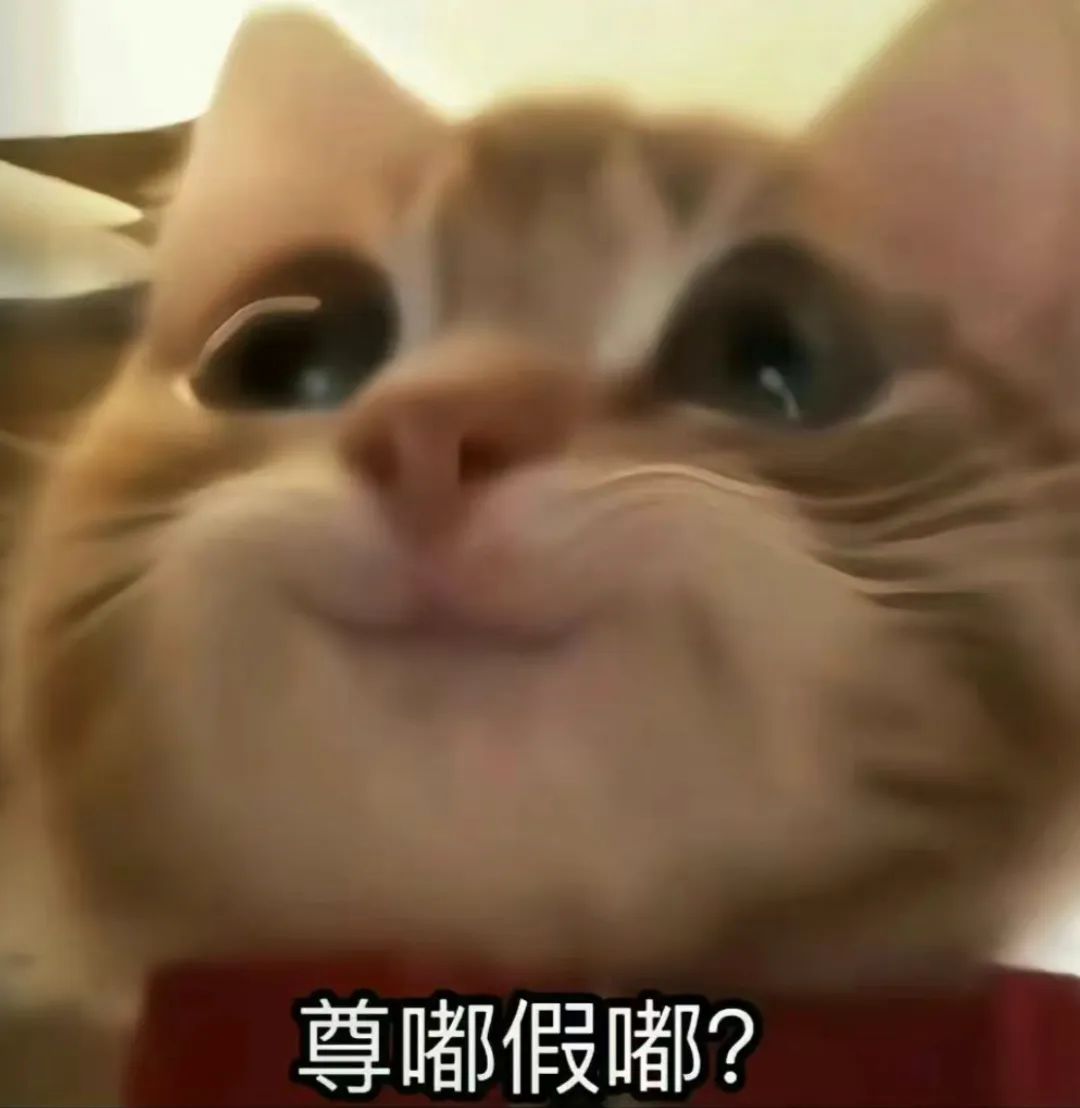 雅思