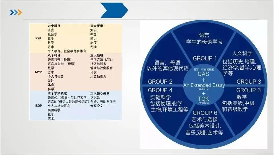 IB课程