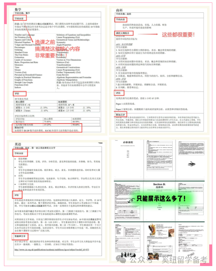 IGCSE课程